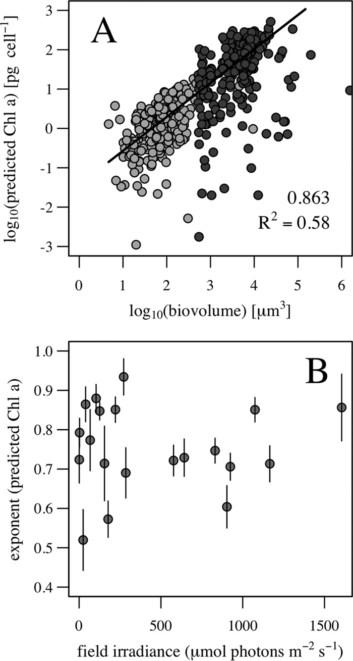 FIG 9