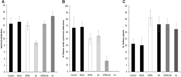 FIGURE 10