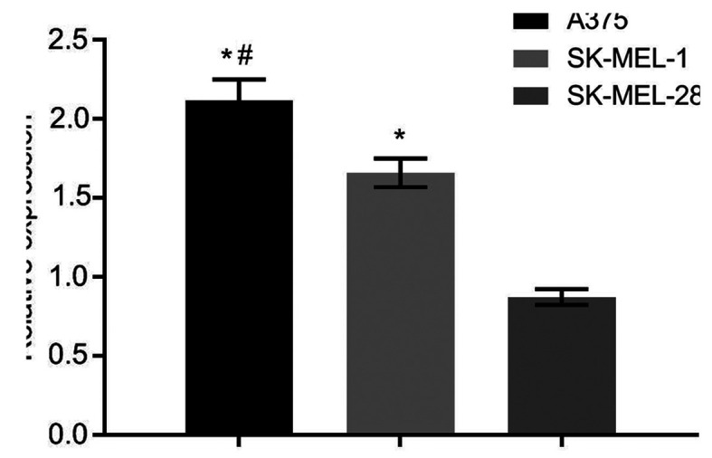 Figure 3.