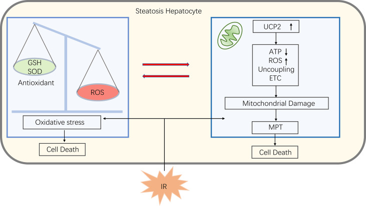 Figure 4