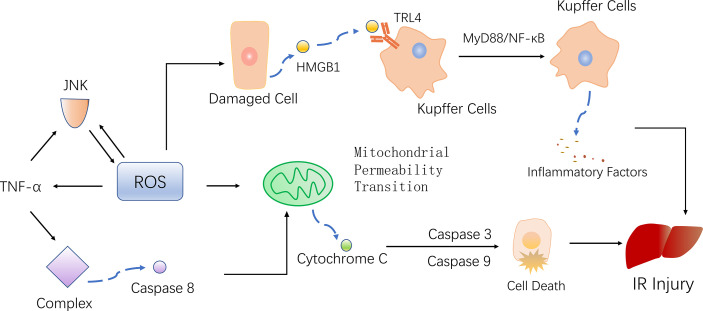 Figure 2