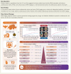 Structured Graphical Abstract