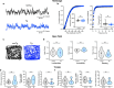 Figure 4—figure supplement 1.