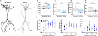 Figure 2—figure supplement 2.