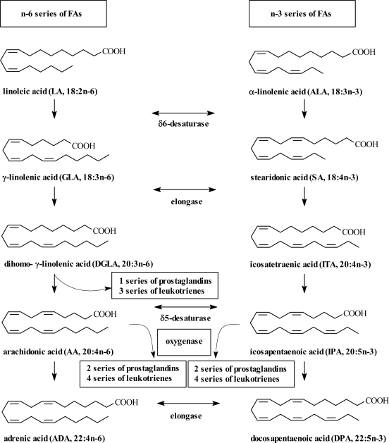 Scheme 1.