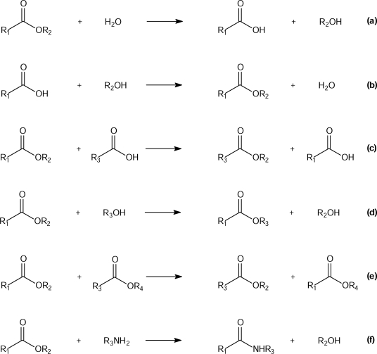 Scheme 3.