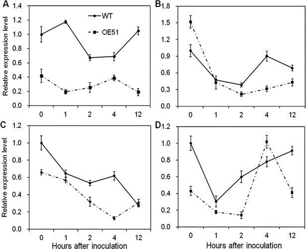 Fig 10