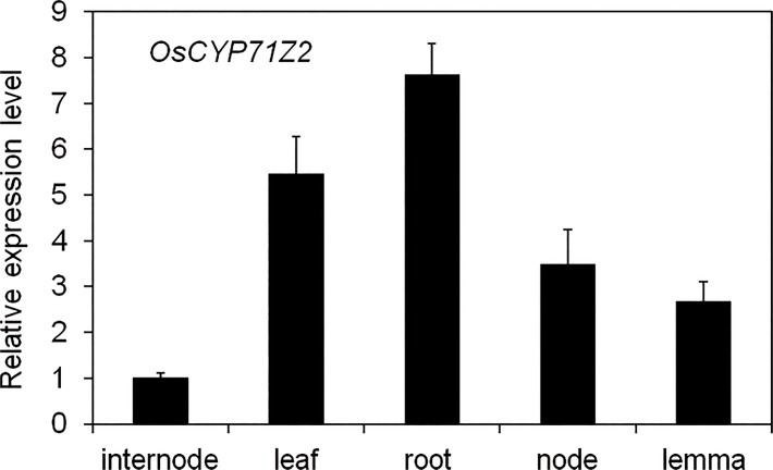 Fig 3