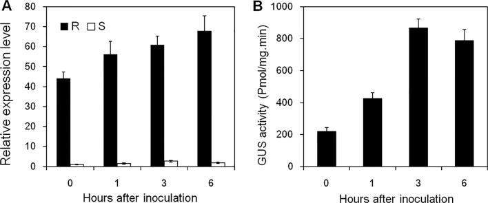 Fig 4