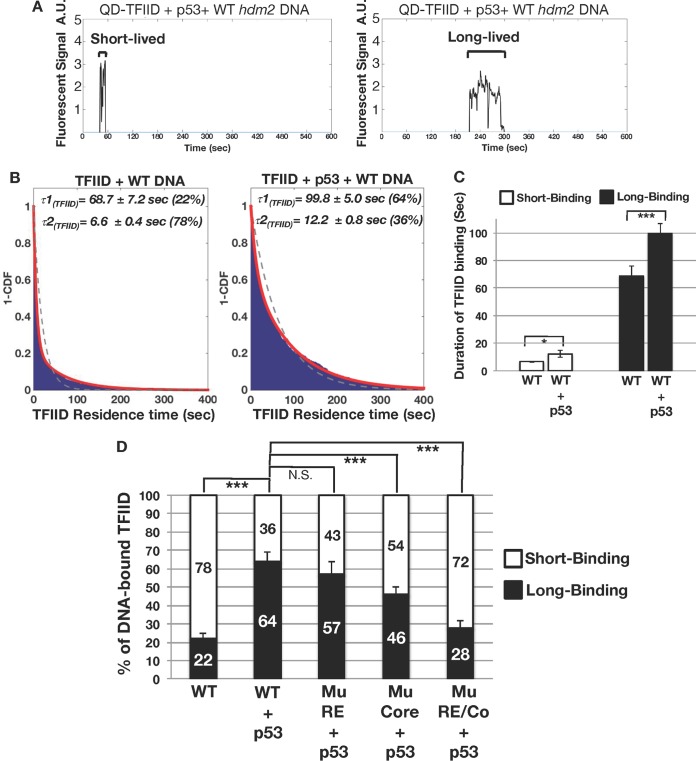 FIG 2