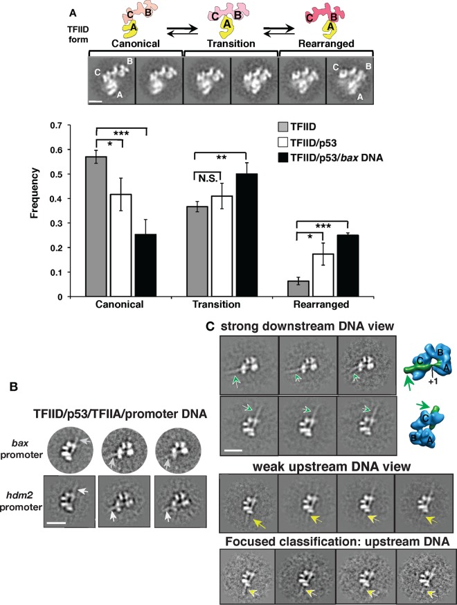 FIG 4