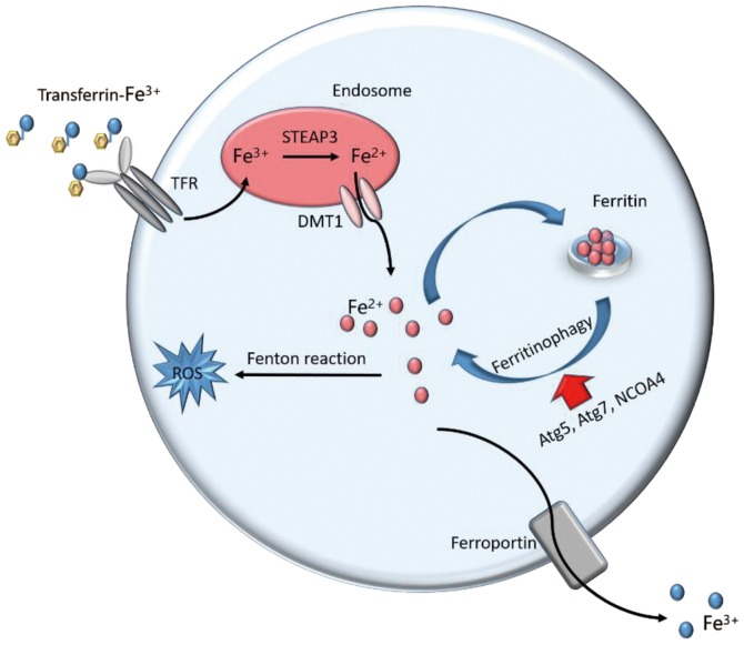 Figure 2.