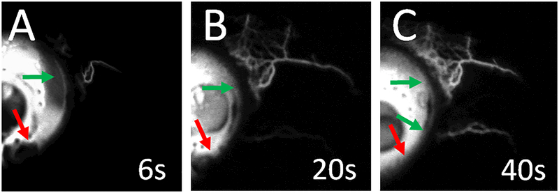 Figure 3.