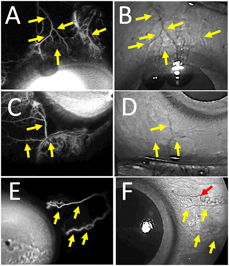 Figure 5.