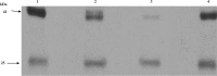 <b>FIG. 3.</b>