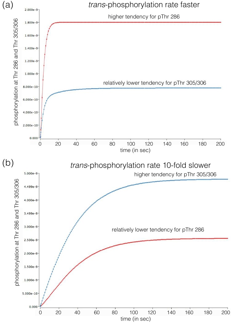 Figure 5—figure supplement 1.