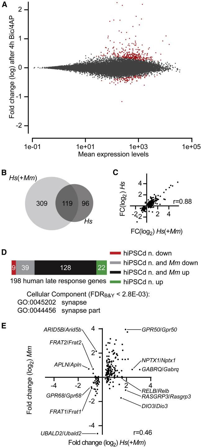 Figure 6