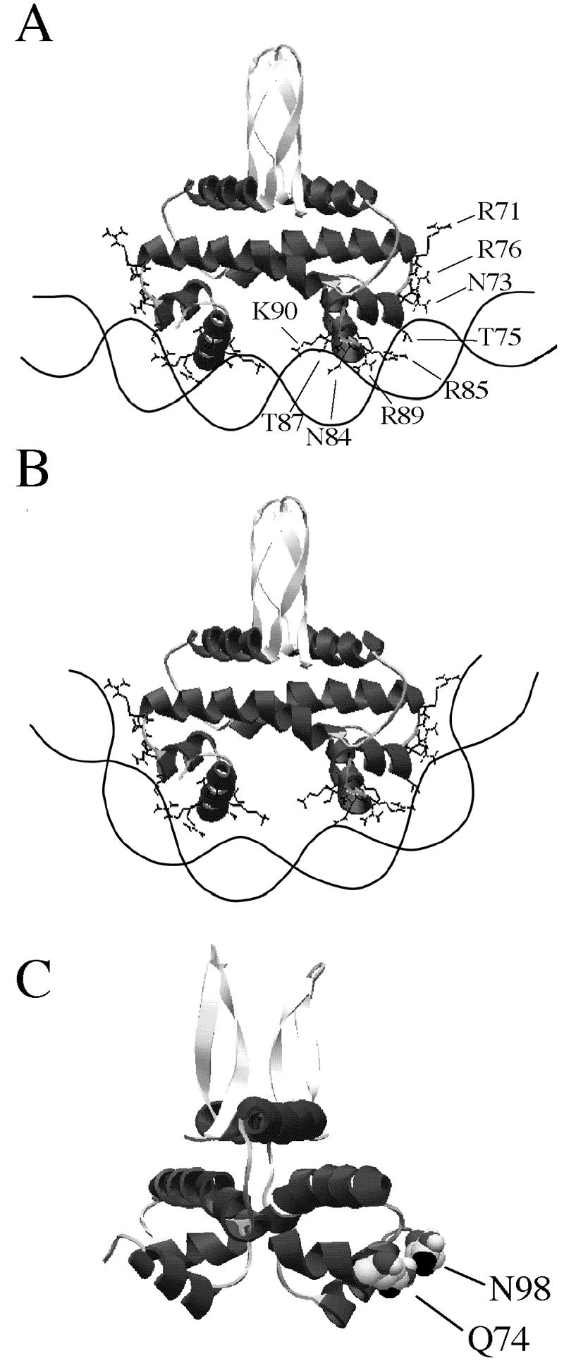 FIG. 8.