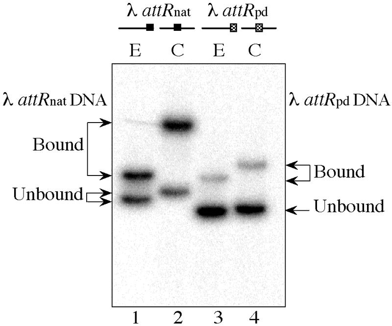 FIG. 5.