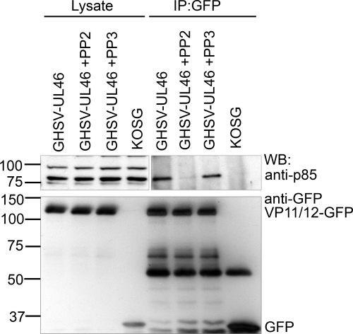 FIG. 8.