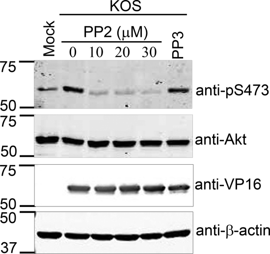 FIG. 9.