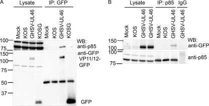 FIG. 5.