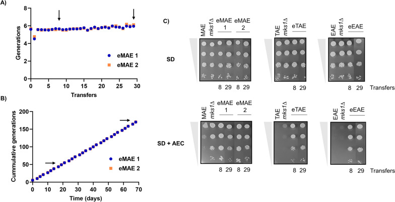 Fig. 2