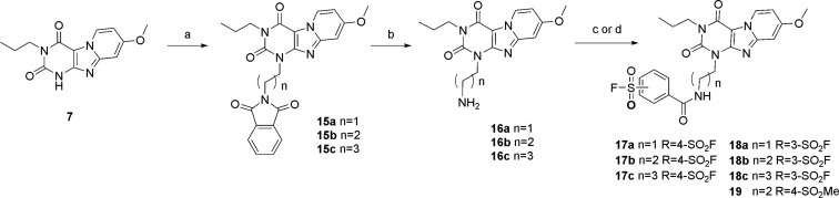 Scheme 3