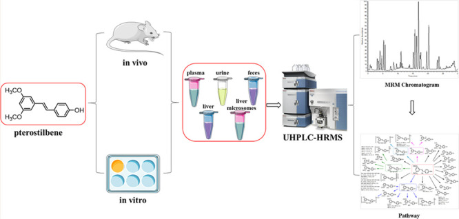 graphic file with name ao2c03924_0007.jpg