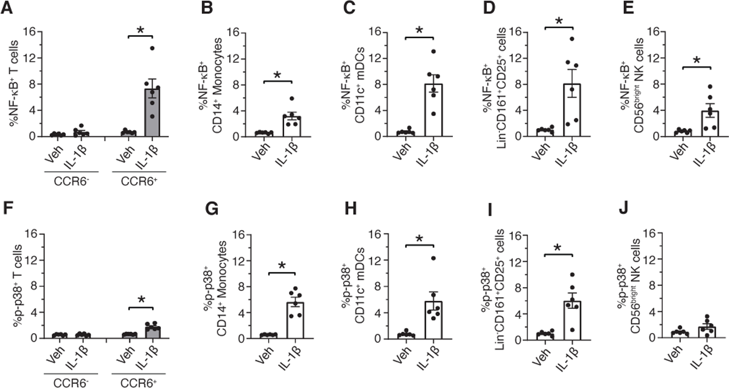 Fig 8.