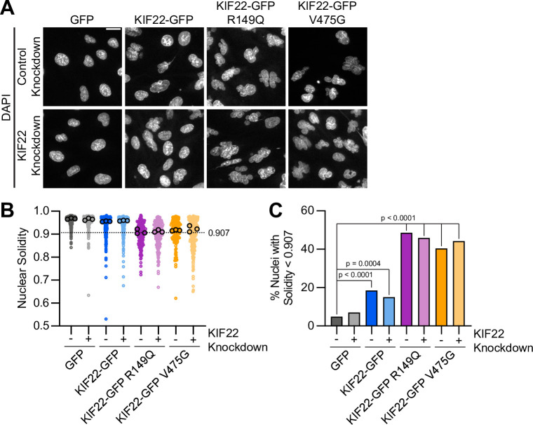 Figure 6—figure supplement 1.