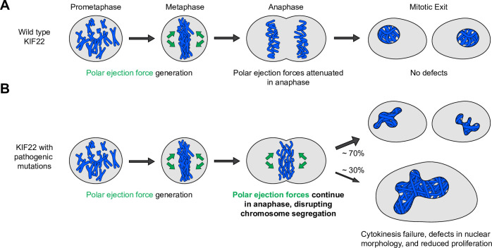 Figure 10.