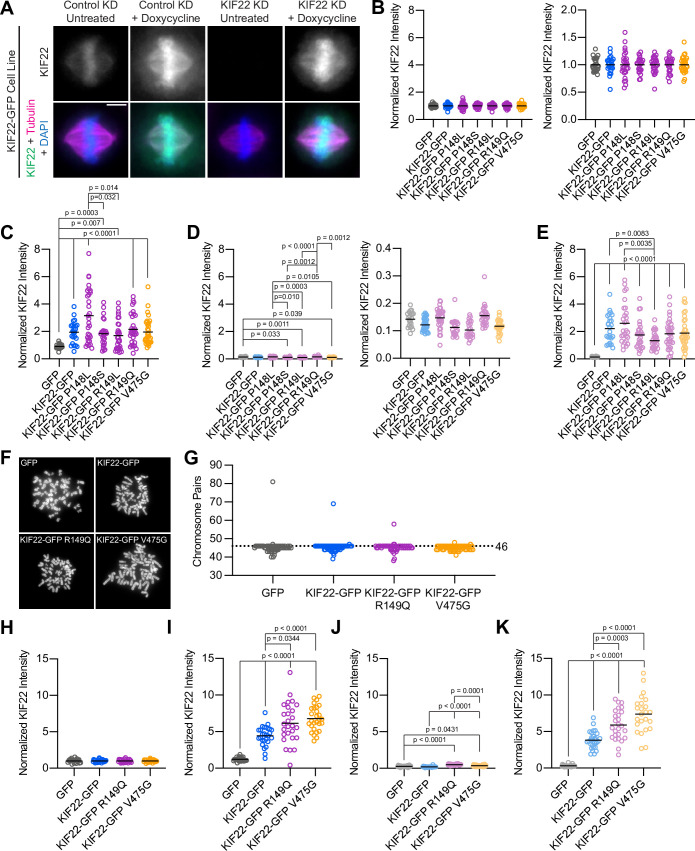 Figure 2—figure supplement 1.