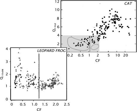 Fig. 5