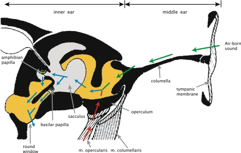 Fig. 1