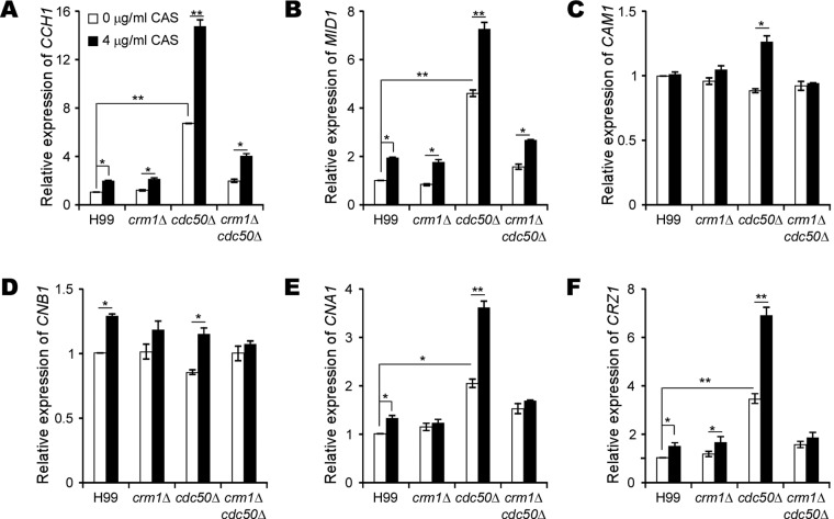 FIG 3