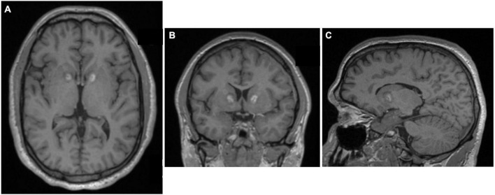 FIGURE 10