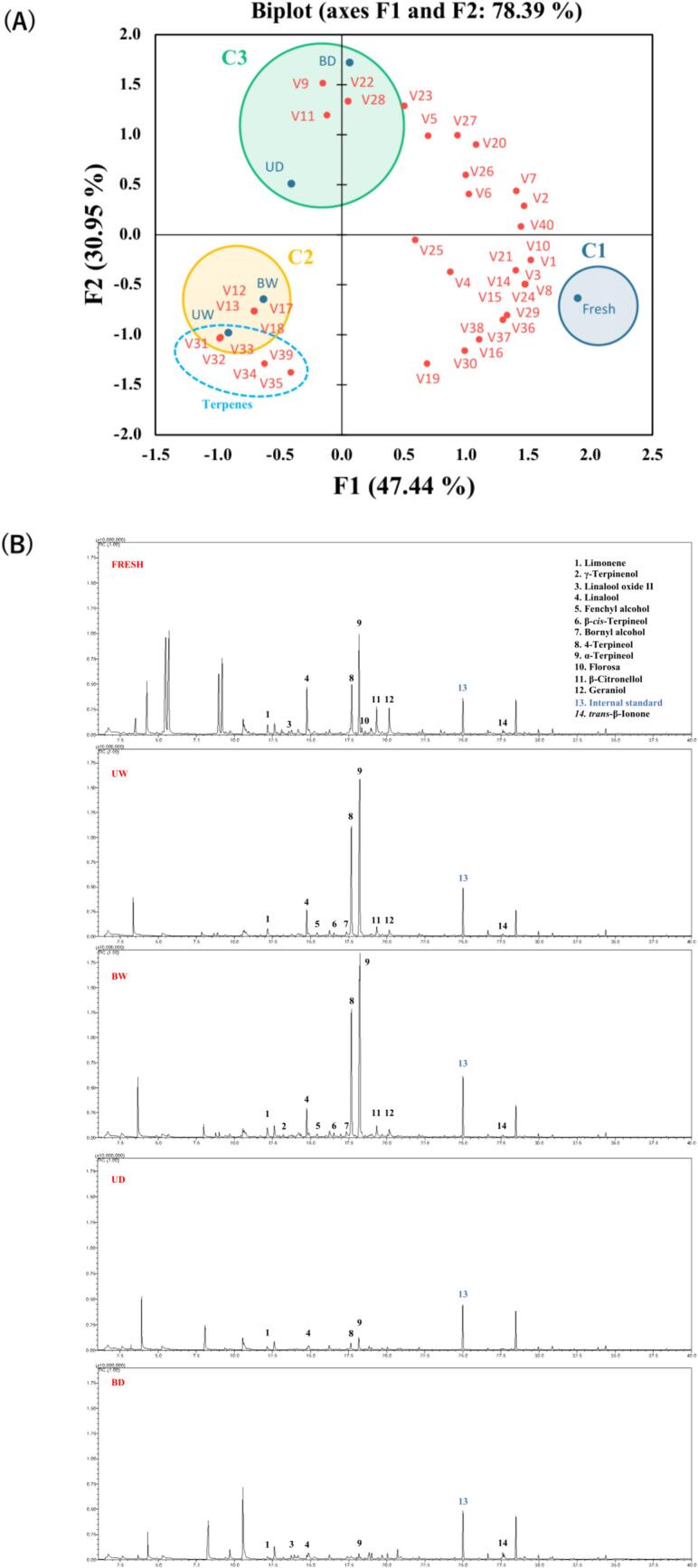 Fig. 6