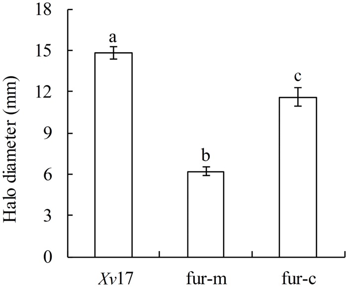 Fig 4