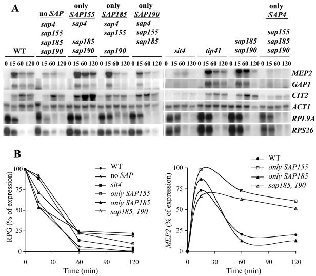 FIG. 2.