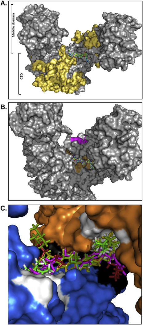 Fig. 9.