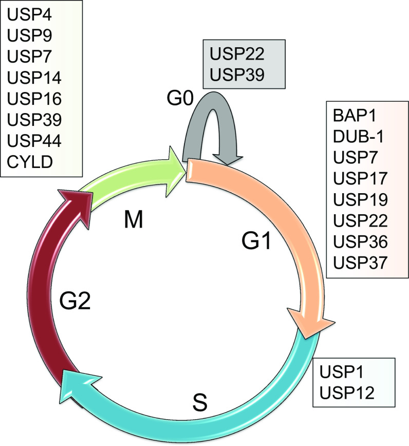 Fig. 3