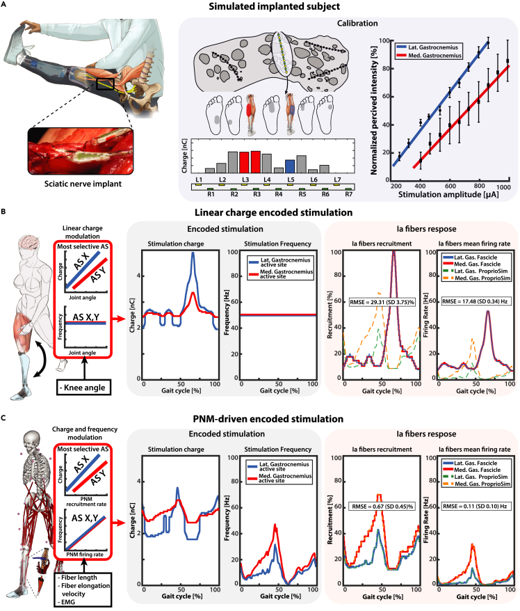 Figure 6