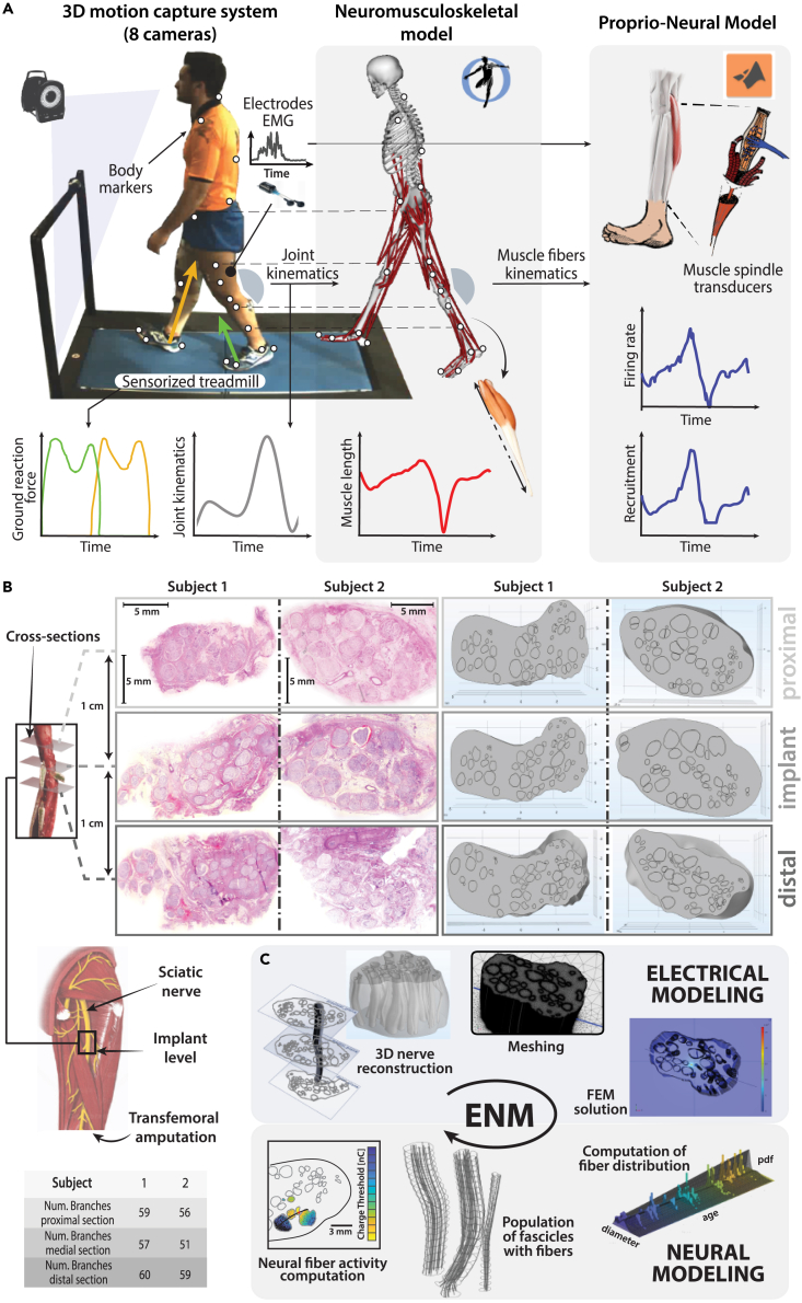 Figure 2