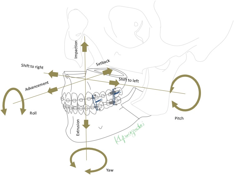 Fig 2