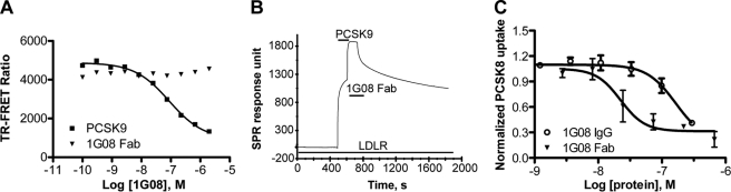 FIGURE 2.