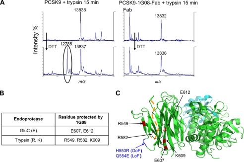 FIGURE 4.