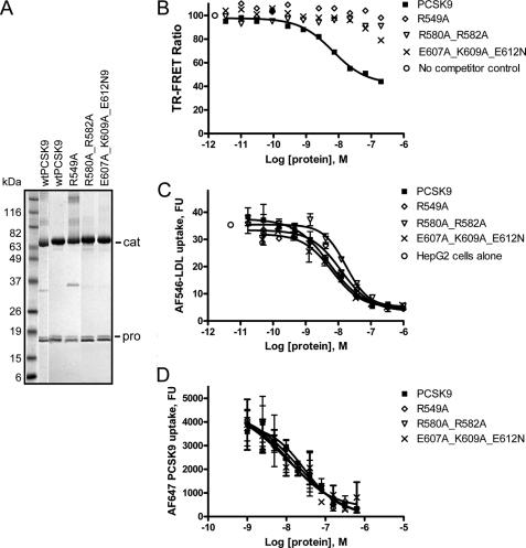 FIGURE 6.