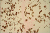 Figure 3b