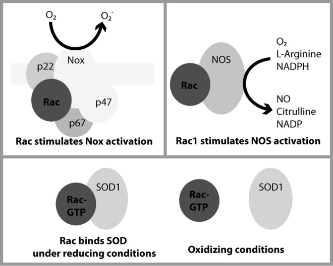 FIG. 6.